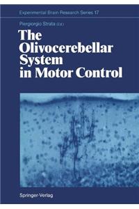 The Olivocerebellar System in Motor Control