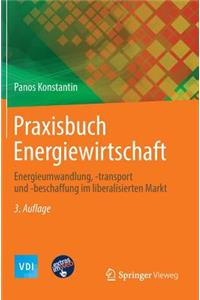 Praxisbuch Energiewirtschaft: Energieumwandlung, -Transport Und -Beschaffung Im Liberalisierten Markt