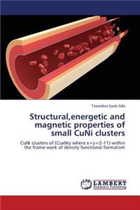 Structural, Energetic and Magnetic Properties of Small Cuni Clusters