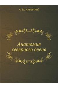 Анатомия северного оленя
