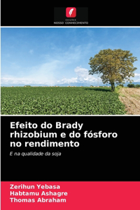 Efeito do Brady rhizobium e do fósforo no rendimento