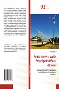 Amélioration de la qualité énergétique d'un réseau électrique