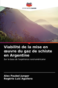Viabilité de la mise en oeuvre du gaz de schiste en Argentine