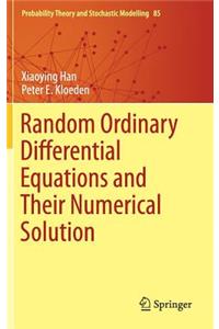 Random Ordinary Differential Equations and Their Numerical Solution