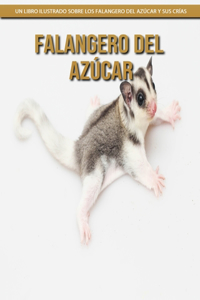 Falangero del azúcar