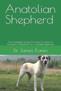 Anatolian Shepherd
