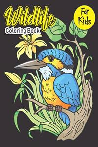 Wildlife Coloring Book For Kids