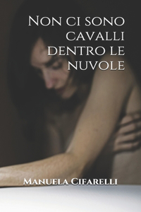 Non ci sono cavalli dentro le nuvole
