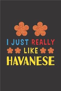 I Just Really Like Havanese