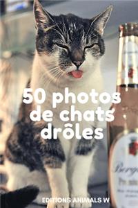 50 Photos de Chats Drôles