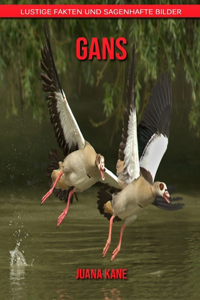 Gans