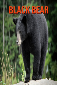 Black Bear