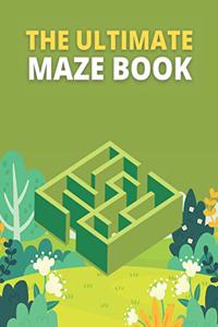 Ultimate Maze Book