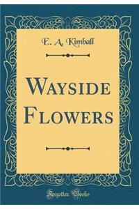 Wayside Flowers (Classic Reprint)