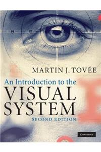 An Introduction to the Visual System