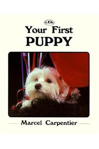 Your First Puppy