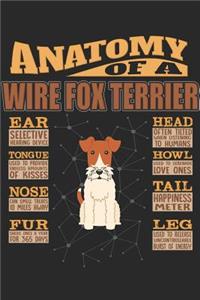 Anatomy Of A Wire Fox Terrier