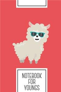 Notebook for Youngs