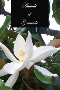 Attitude of Gratitude