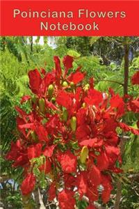 Poinciana Flowers Notebook