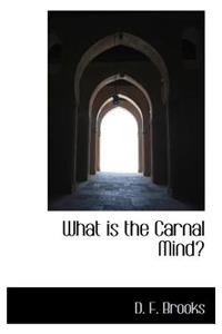 What Is the Carnal Mind?
