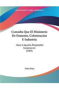 Consulta Que El Ministerio De Fomento, Colonizacion E Industria