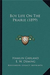 Boy Life on the Prairie (1899)