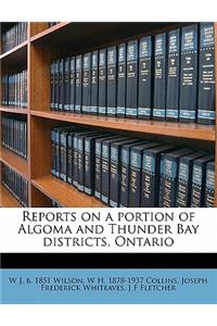 Reports on a Portion of Algoma and Thunder Bay Districts, Ontario