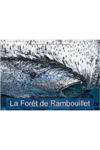 Foret De Rambouillet 2018