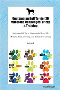 Guatemalan Bull Terrier 20 Milestone Challenges