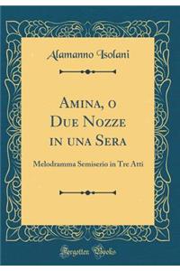 Amina, O Due Nozze in Una Sera: Melodramma Semiserio in Tre Atti (Classic Reprint)