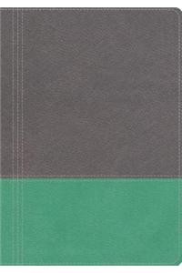NKJV, The Modern Life Study Bible, Imitation Leather, Gray/Green