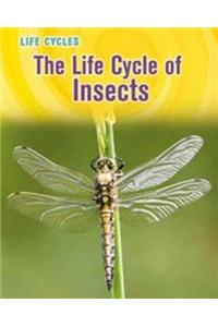The Life Cycle of Insects