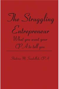 The Struggling Entrepreneur