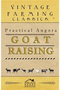 Practical Angora Goat Raising