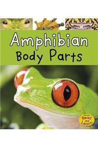 Animal Body Parts Amphibian Body Parts