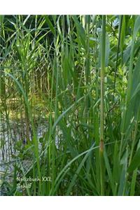 Notizbuch XXL Schilf