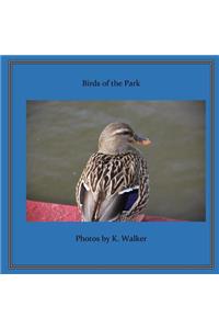 Birds of the Park