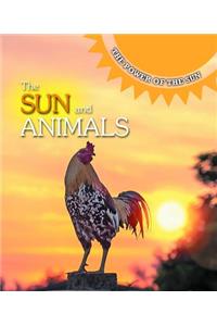 Sun and Animals