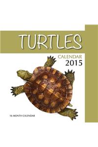 Turtles Calendar 2015