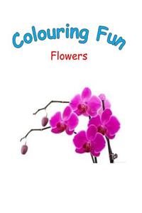 Colouring Fun