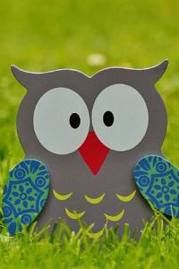Owl Journal: 160 Page Lined Journal/Notebook