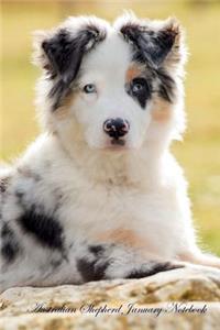 Australian Shepherd January Notebook Australian Shepherd Record, Log, Diary, Special Memories, to Do List, Academic Notepad, Scrapbook & More