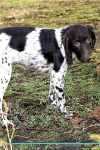 English Setter Affirmations Workbook English Setter Presents