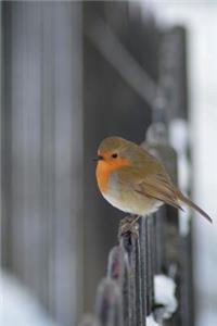 Red Robin in Winter Bird Journal
