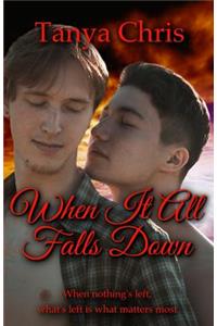 When It All Falls Down