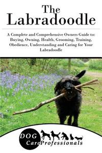 The Labradoodle: A Complete and Comprehensive Owners Guide To: Buying, Owning, Health, Grooming, Training, Obedience, Understanding and Caring for Your Labradoodle