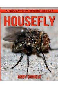 Housefly! An Educational Children's Book about Housefly with Fun Facts & Photos