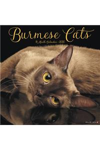 Burmese Cats 2020 Wall Calendar