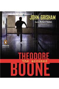 Theodore Boone: The Accused